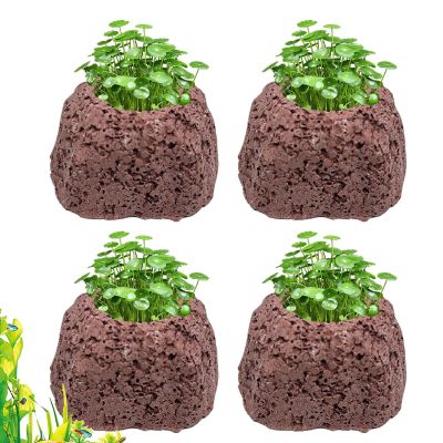 Aquarium Plant Holder
