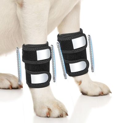 Asixxsix Adjustable Front-Leg Brace for Dogs, Soft, Reflective, Breathable (S)