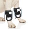 Asixxsix Adjustable Front-Leg Brace for Dogs, Soft, Reflective, Breathable (S) view 1