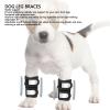 Asixxsix Adjustable Front-Leg Brace for Dogs, Soft, Reflective, Breathable (S) view 4