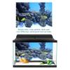 Yctze Coral Aquarium Background Poster view 3