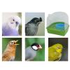 Bird Bath for Bird Cages, Leakproof Water Basin view 4