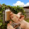 2-in-1 Interactive Pet Grooming Brush view 3