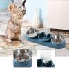 Pyasuye Double-Bowl Feeding Station for Dogs and Cats with Automatic Dispenser view 2
