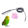 Lurrose Lightweight Gentle Parrot Harness with 2 m Elastic Leash and Angel Wing Design view 1