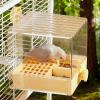 Fonowx Hanging Transparent Bird Bath for Cockatiels and Canaries, Orange view 4