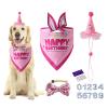 AIMICOCA Dog Birthday Hat Bandana Set (Pink) view 1
