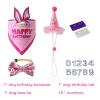 AIMICOCA Dog Birthday Hat Bandana Set (Pink) view 2