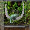 Hermit Crab Climbing Ladder - Natural Jute Hanging Bridge view 2
