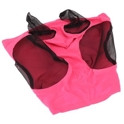 Zerodis Garden Cultivation Horse Fly Mask