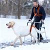 ES Dog Harness with Adjustable Lift Straps and Padded Handle view 3
