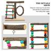 Hohopeti Parrot Training Toy, No-Assembly Countertop Bird Stand for Interactive Play and Balance Training view 3