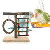 Hohopeti Parrot Training Toy, No-Assembly Countertop Bird Stand for Interactive Play and Balance Training view 4