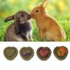 2021 2 Pack Small Animal Chew Toys view 3