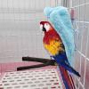 Yctze Fleece Blanket for Birds (Blue) view 1