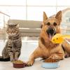 Ergonomic Pet Food Scoop view 2