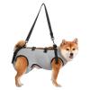 Ksikdeg Adjustable Support Harness for Pets and Older Dogs view 1