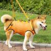 Ksikdeg Adjustable Support Harness for Pets and Older Dogs view 2