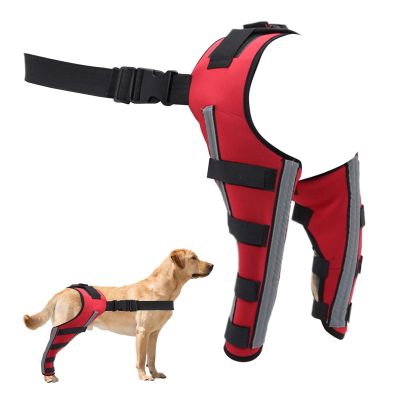 Generic Dog Hip Brace | Adjustable Support Brace for Dogs