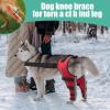 Generic Dog Hip Brace | Adjustable Support Brace for Dogs view 2