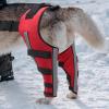 Generic Dog Hip Brace | Adjustable Support Brace for Dogs view 3