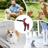 Generic Dog Hip Brace | Adjustable Support Brace for Dogs view 4