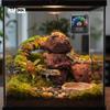 HAPPET Terrarium Thermometer 5 x 5 x 2 cm - Analog view 4