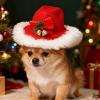Dog Cowboy Hat | Adjustable Headwear for Costumes and Accessories - Christmas Design view 3