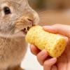 Generic Indoor Rabbit Toy - 4 Pack Luffa Hamster Accessories view 2
