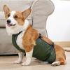 YolieraArt Waterproof Belly Band for Large Dogs, Breathable Polyester view 4