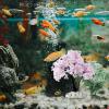 Artificial Water Plant - Pine Tree for Aquarium view 2