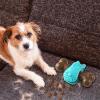 Aggressive Chewer Dog Toy, Bone Design, Snack Holder for Puppies view 3