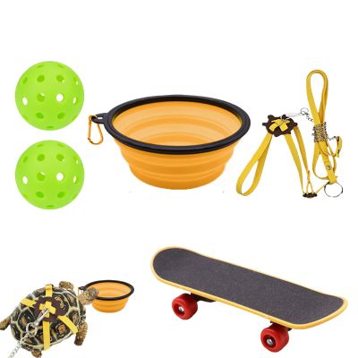 Turtle Skateboard, Small Fun Reptile Accessory, Bowl, Exercise