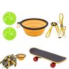Turtle Skateboard, Small Fun Reptile Accessory, Bowl, Exercise view 1