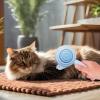 Cat Hair Brush for Indoor Cats view 2