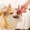 Generic Dog Toy with Squeaker view 2