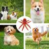 Generic Dog Toy with Squeaker view 4