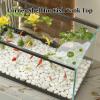 Corner Plant Holder for Aquariums view 2