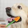 Small Dog Toothbrush with Long Handle, Fresh Breath and Dental Care view 3