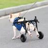 Adjustable Dog Wheelchair for Small Pets, Rear Leg Support (Size S) view 3