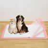 Travel-Friendly Silicone Dog Pad view 2