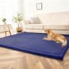 Lrisveana Baby Play Mat, 2 cm Thick Foam Crawling Mat, Non-Slip Coral Fleece Rug, 180 x 200 cm view 3