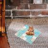 SOLUSTRE Ceramic Cooling Pad for Small Pets view 3