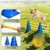 INQUIRLLY Dog Agility Hurdle Set, 8 Cones and 8 Poles view 3