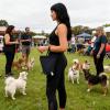 Waterproof Reusable Dog Waste Bag Holder view 2