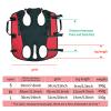 TERNCOEW Pet Carrier Bag with Breathable, Adjustable Shoulder Strap, Horizontal Hug Design, for Outdoor Walks and Short Trips view 3