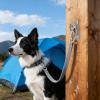 Dog Leash Holder Hook view 2