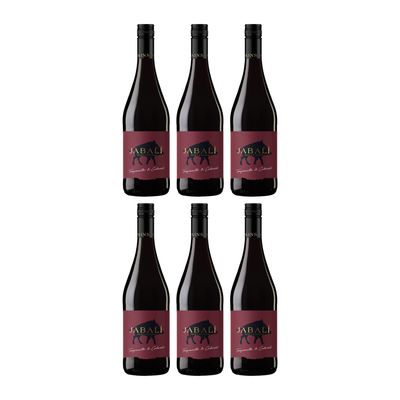 Bodegas Paniza Jabal Tempranillo Cabernet DO Semi-Dry Red Wine, Spain, incl. FeinWert E-Book (6 x 0.75 L)
