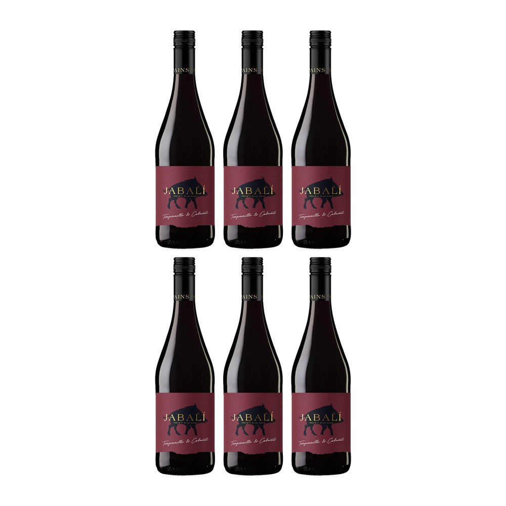 Bodegas Paniza Jabal Tempranillo Cabernet DO Semi-Dry Red Wine, Spain, incl. FeinWert E-Book (6 x 0.75 L)