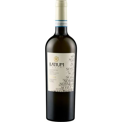 ILatium Morini Soave DOC Organic Dry White Wine, Italy, incl. FeinWert E-Book (1 x 0.75 L)